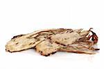 Angelica root used in chinese traditional herbal medicine, over white background. Radix angelicae sinensis, Dang gui.