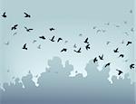 Vector illustration of a flock of flying birds