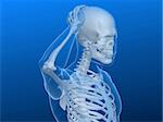 3d rendered x-ray illustration of human skeleton with headache