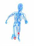 3d rendered illustration of a running skeleton with highlighted knee