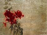 Red bougainvillea on textured cloudy plaster background