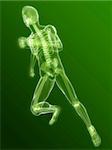 3d rendered illustration of a running skeleton