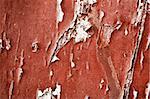 Old painted red wood texture