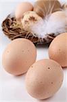 Brown Easter eggs with feathers in a nest and brown chicken eggs on white background