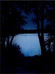 Night lake - bright water and black trees