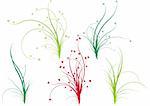 spring nature, floral grass designs, vector