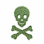 grass skull and cross bones symbol isolated on white background