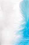 colorful feathers easter background