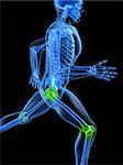 3d rendered illustration of a running skeleton with highlighted joints