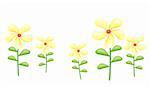 a group of yellow wild flower on the white background