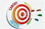 Target, success, profit, future,  hitting dart. Business concept