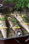 Three baked trout on a baking pan