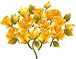 illustration drawing of yellow rose flower in white background