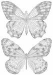 butterflies with detailed delicate texture, vector