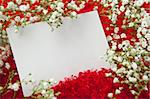 Blank invitation card in white flowers on shaggy red fabric