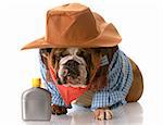 english bulldog wearing cowboy costume sitting beside whiskey flask