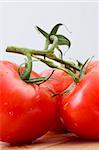 fresh tomatoes on white background