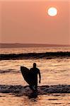 Surfer exiting the water. Silhouette of man carrying surfboard