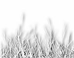 Illustrated foreground cutout design of rough grass