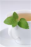 Healthy herbal tea made from freshly picked lemon balm