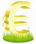Euro Sign On Grass, Isolated On White