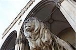 The statues of lions in front of the Feldherrnhalle (Field Marshall's Hall) in Munich, Germany