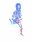 3d rendered illustration of a running female skeleton with highlighted joints