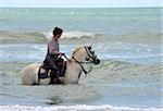riding man and his white horse in the sea