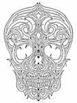 Line art skull illustration