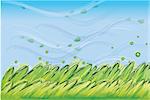 illustration of green color grass on blue sky