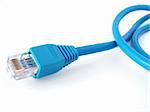 blue network cable with connector