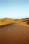 late afternoon on Sahara desert, focus set in foreground