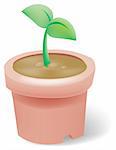illustration drawing of green seeding isolate in a flowerpot