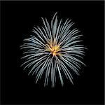 A yellow and white flower-like firework in the night sky