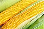 corn  detail between green leaves