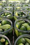 Jars with cucumbers ready for pickle making