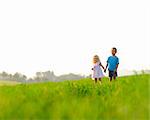 Brother and sister hold hands in the meadow, healthy happy children, copyspace provided
