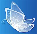 drawing of beautiful white butterfly in a blue background
