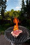 t bone steak on a grill outdoors