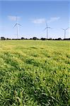 Ecological electric energy production by windmills in a meadow and blue sky