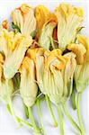 orange squash blossoms close up