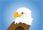 eagle isolated on blue background