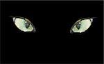 Cat eyes on the black. Eyes and background are in separate layers. Filled with solid colors only.