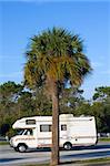 RV and Palm in Florida.