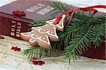 Gingerbread cookie in the shape of Christmas tree on the Bible