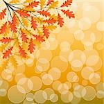 Autumn background with a tree branch. Vector illustration.