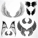 Set of detailed vector wings. Easy to edit