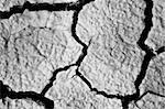 The soil in the fissures appeared on the long-term heat