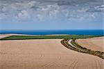 Simple seascape in Port Isaac, UK, showing small country road