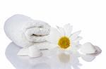 well being concept with towel, flower and shells on white background